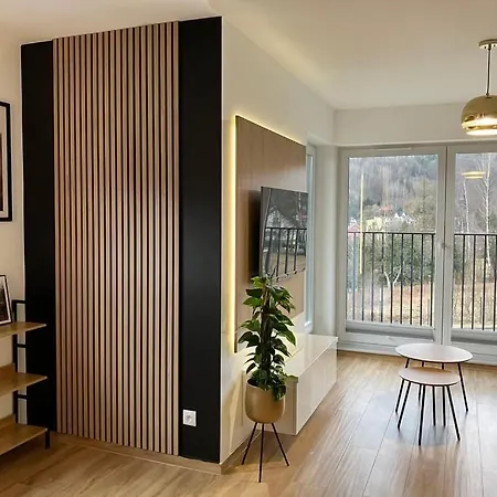 شقة Apartament Wisla فيسلا